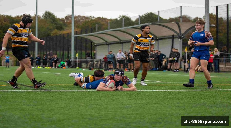 洞察8868体育首页